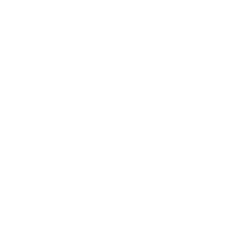 Accessibility icon