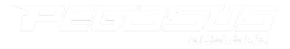 Pegasus Bustang logo